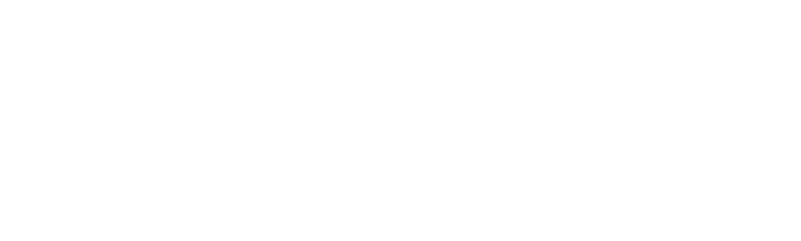 VELADZO_Standard_CsD_B@4x.png